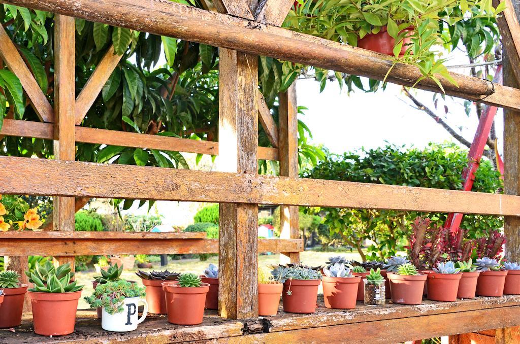 Taichung Xinshe Garden Life Homestay B&B Exterior foto